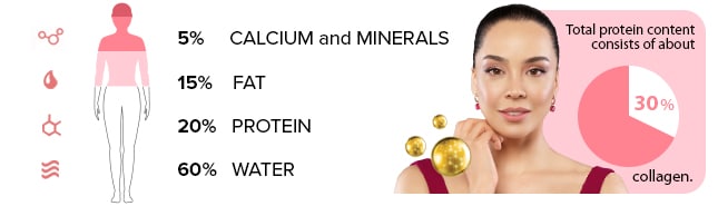 collagen img 1