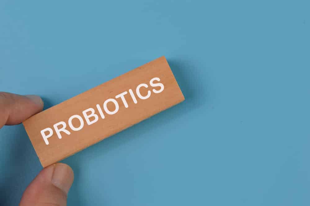 probiyotikler nelerdir